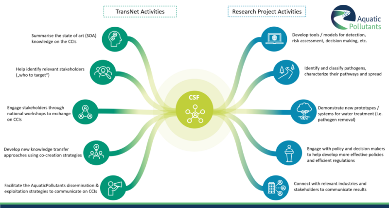 CSF-Diagram_50