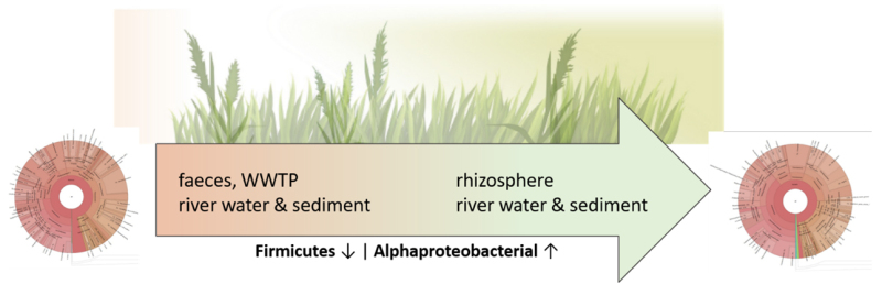 figura 2 NATURE.jpg