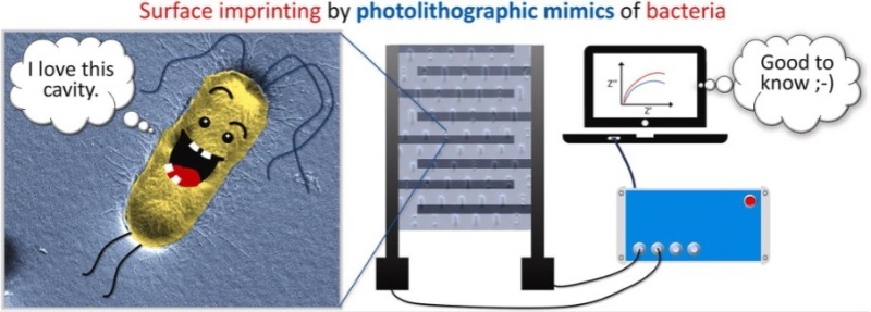 Graphical abstract.jpg Graphical abstract.jpg