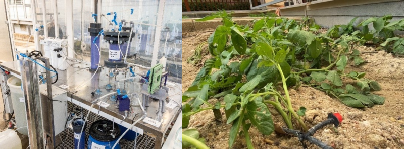 Design ohne Titel(26).png