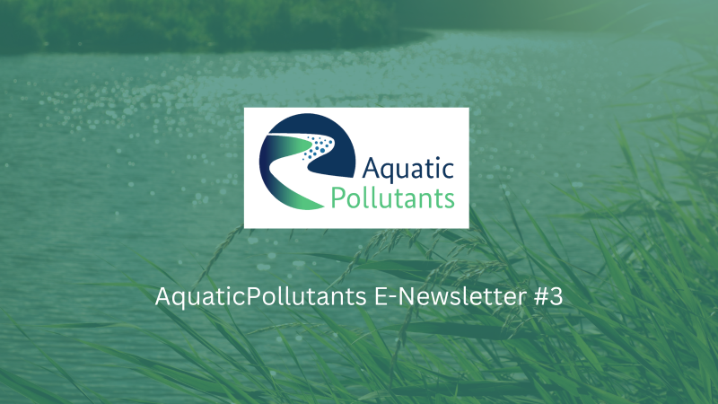 Newsletter Kachel(1)