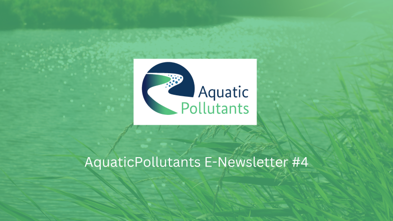 Newsletter Kachel